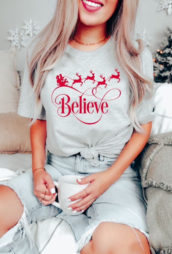 Believe Santa Sleigh
