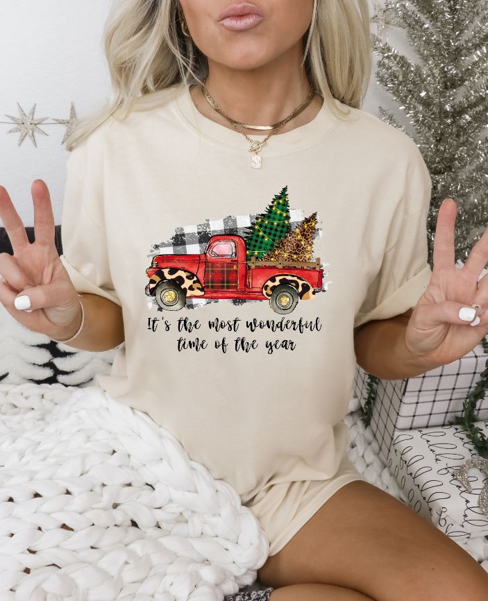 Most Wonderful Time Of The Year Truck