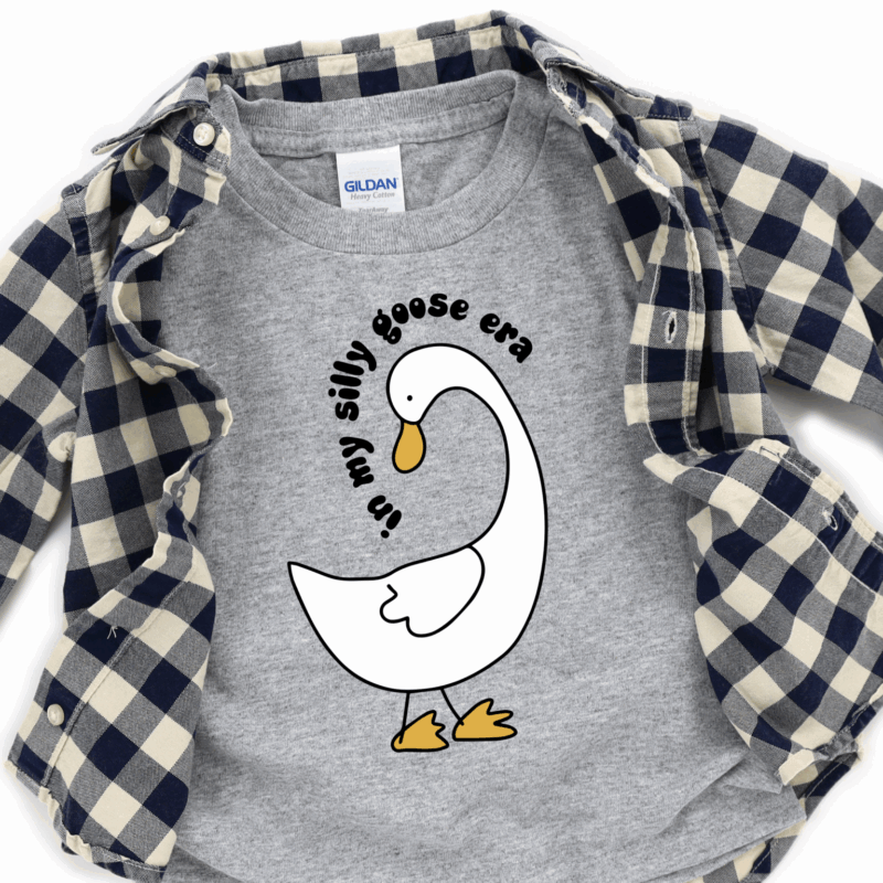 Silly Goose Era Black | 10343 | Direct To Film DTF Transfer